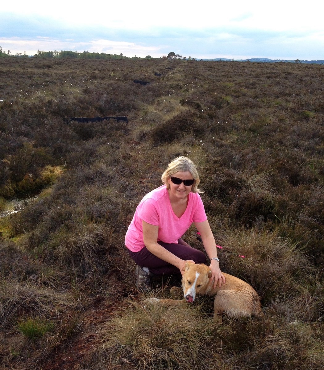 me and happy on the bog [1600x1200]